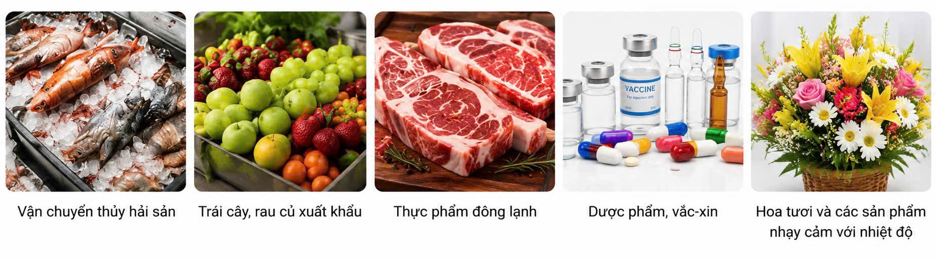Những loại hàng hóa cần kiểm soát nhiệt độ